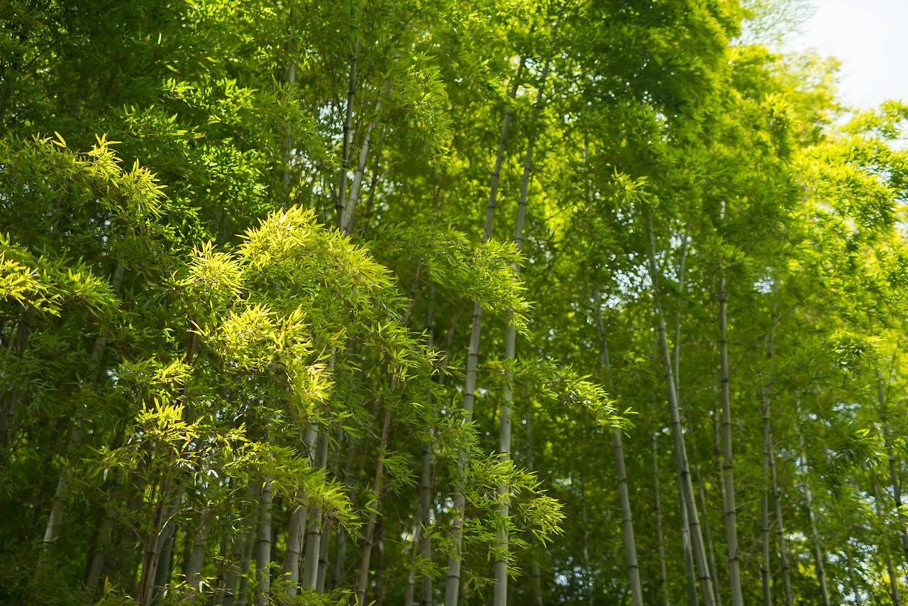 Kyoto Chikuan Apartment 0*,  Japan